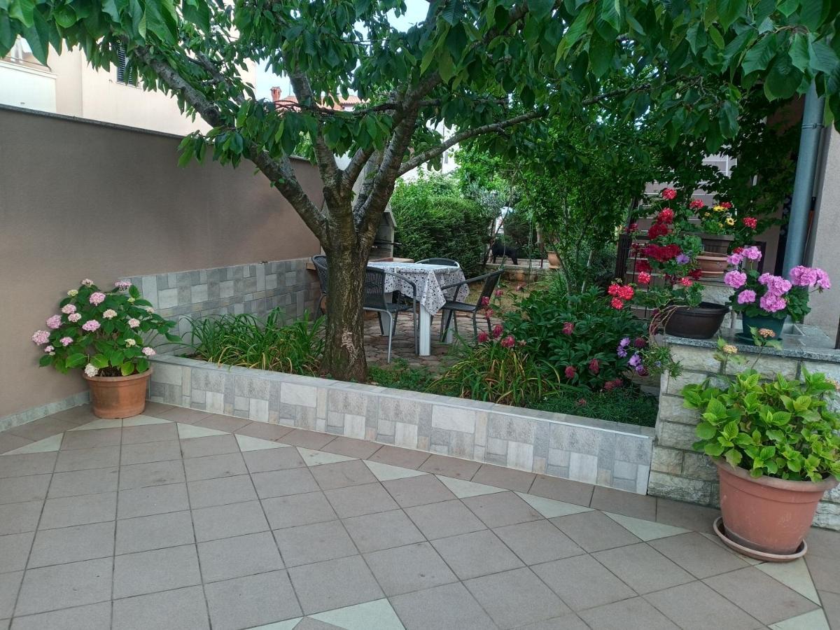 Apartment Alma Pula