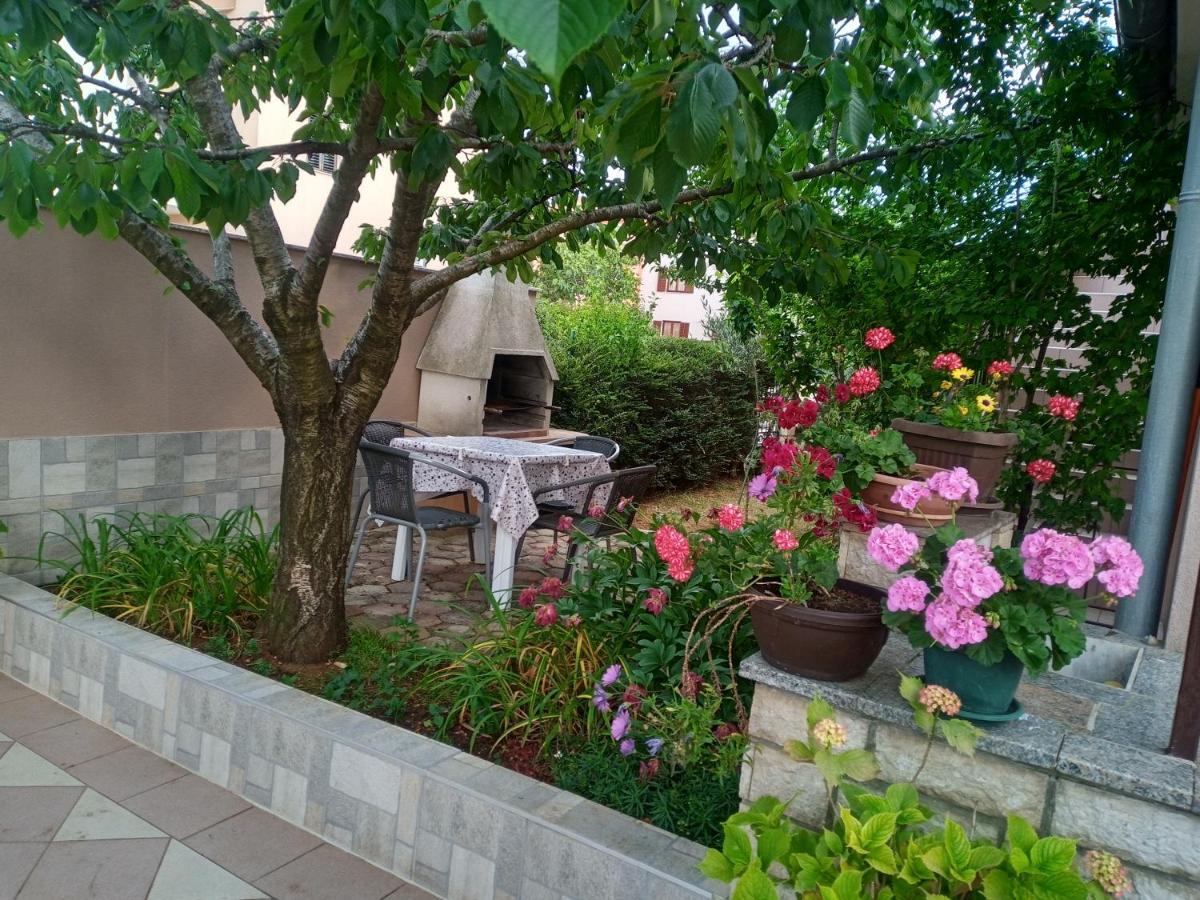 Apartment Alma Pula